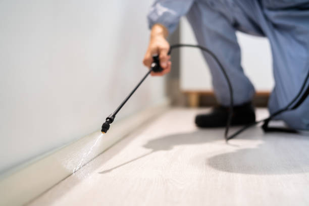 Licensed Termite Control service in Milton, GA - Show Me Pest Control